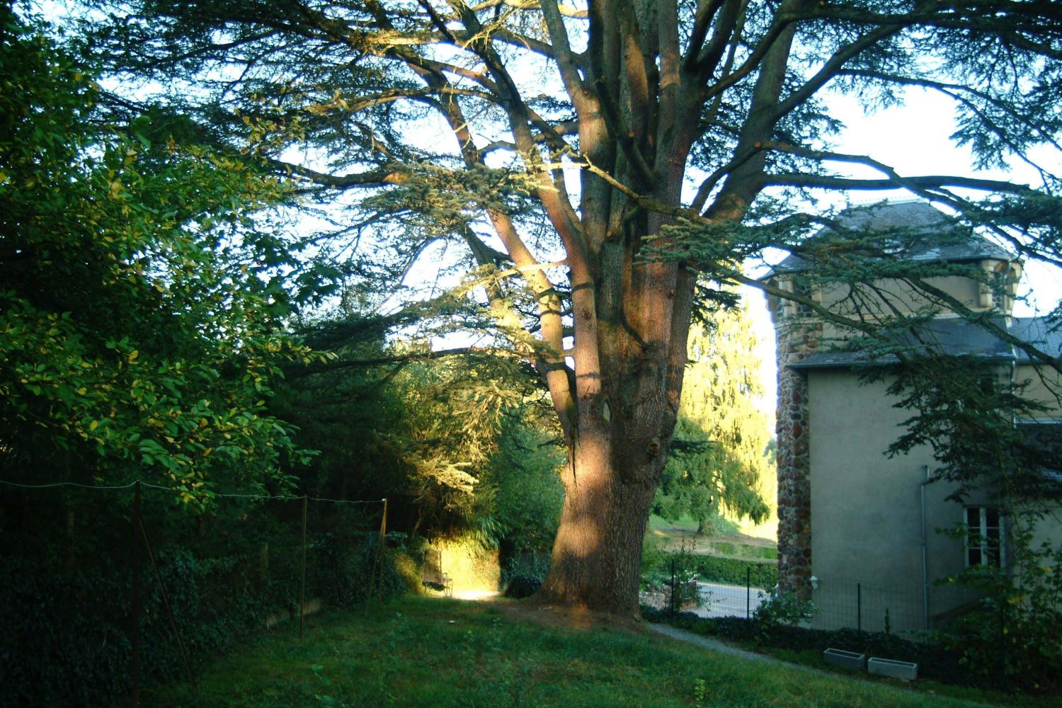  kaufen Schloss Saint-Honoré-Les-Bains Nièvre 2