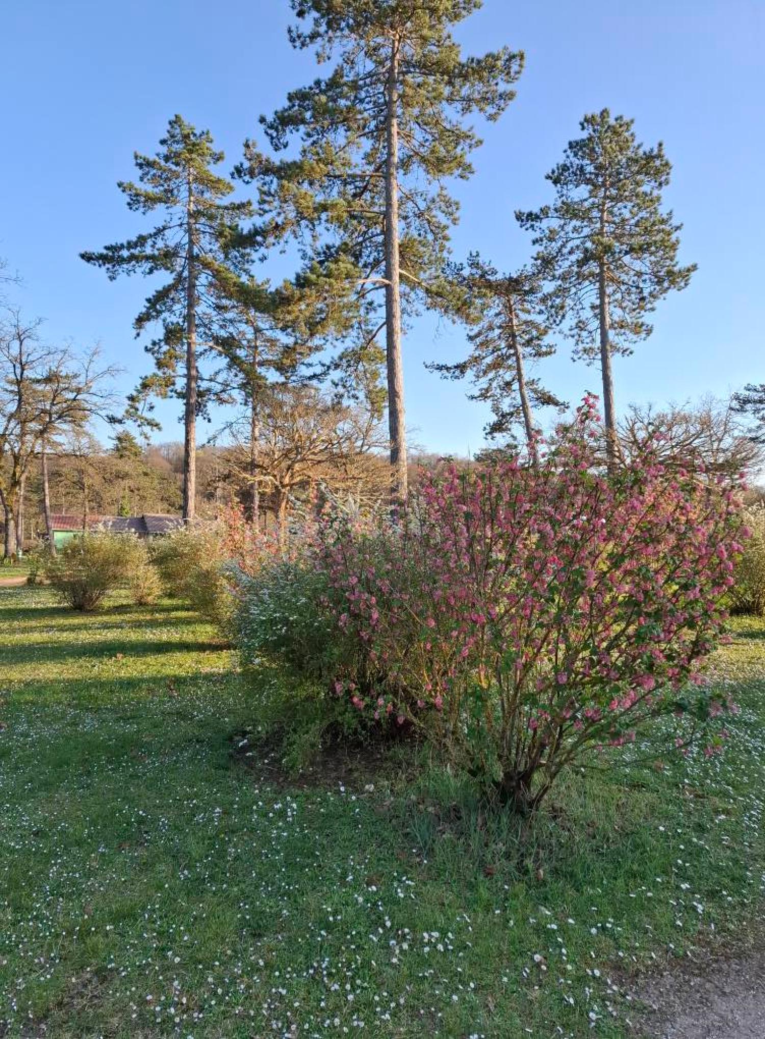  kaufen Camping Jaulny Meurthe-et-Moselle 34