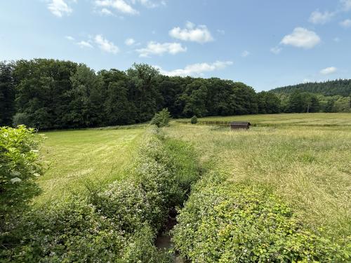  kaufen Freistehend Hennezel Vogesen 52