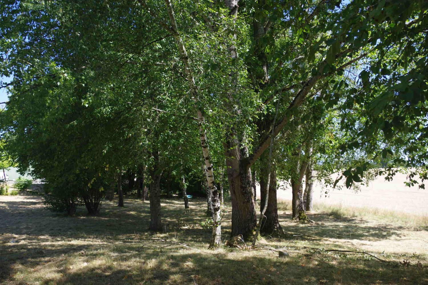  kaufen Gebäude Alluy Nièvre 9