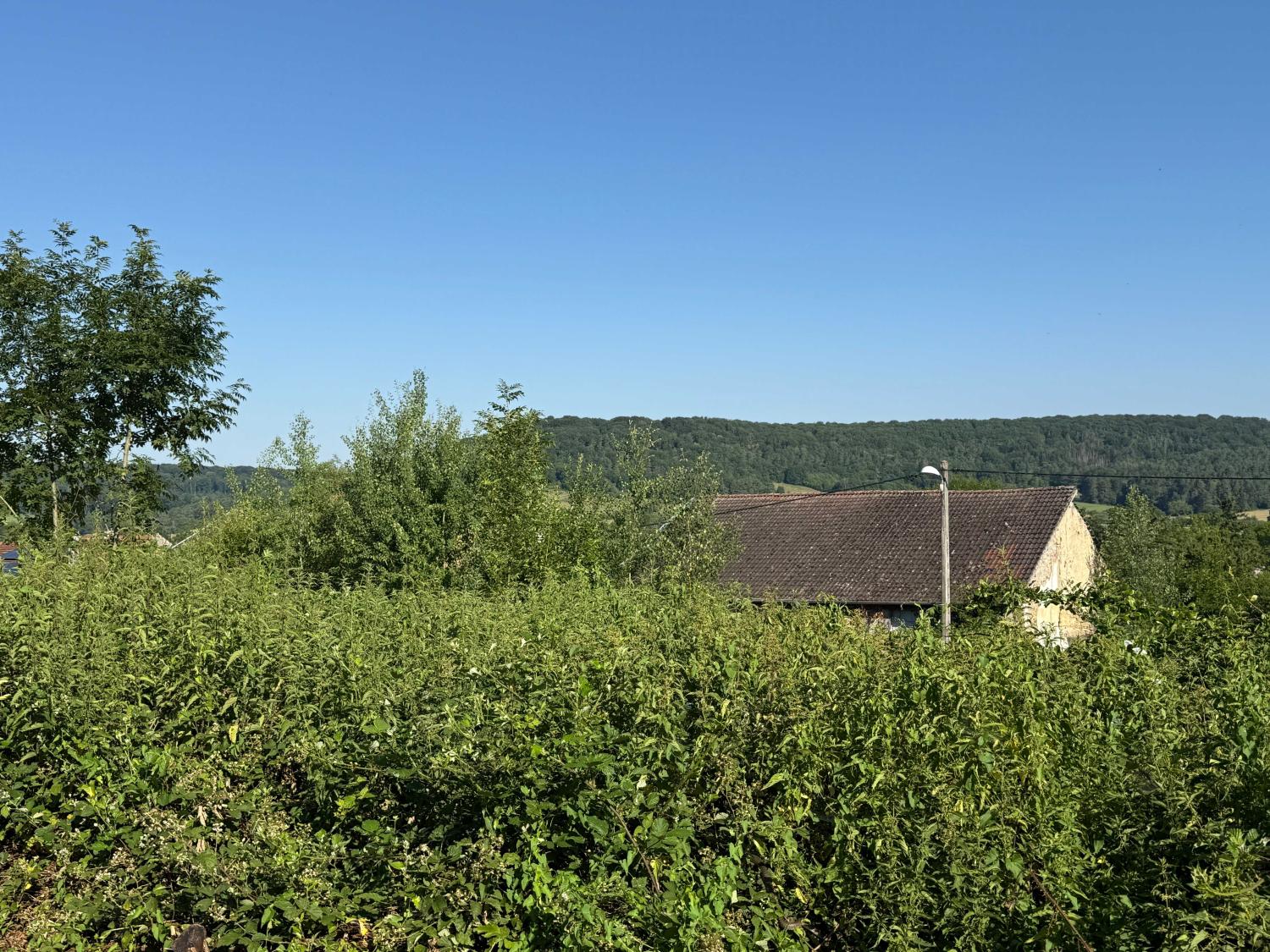  kaufen Grundstück Bourbonne-les-Bains Haute-Marne 6