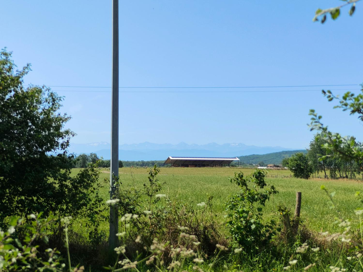  kaufen Häuser mit Zuhause Terrebasse Haute-Garonne 57