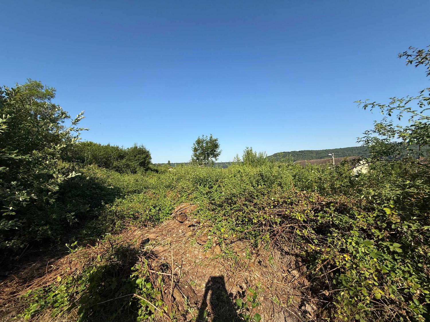  kaufen Grundstück Bourbonne-les-Bains Haute-Marne 5
