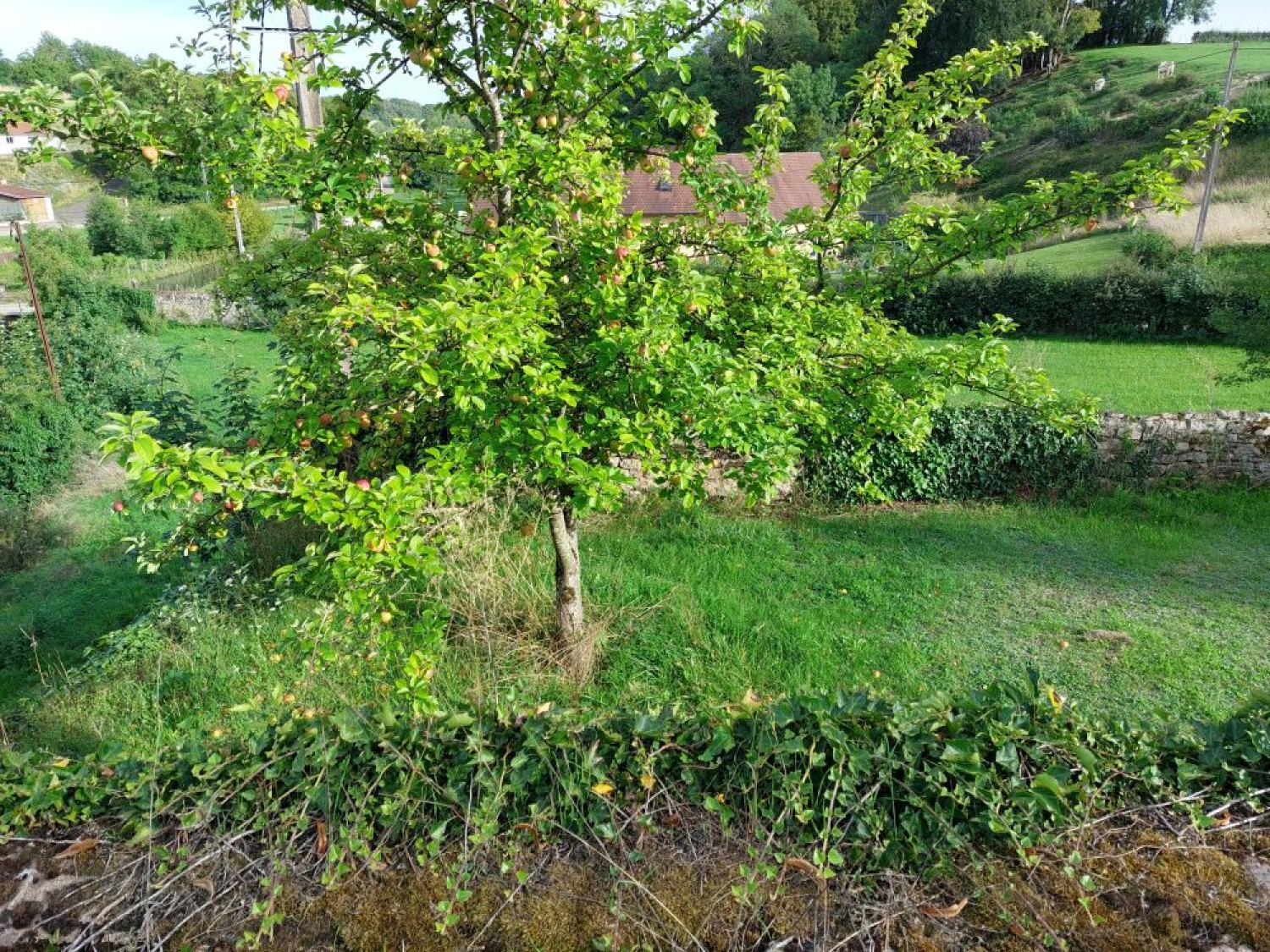  kaufen Schloss Blondefontaine Haute-Saône 45