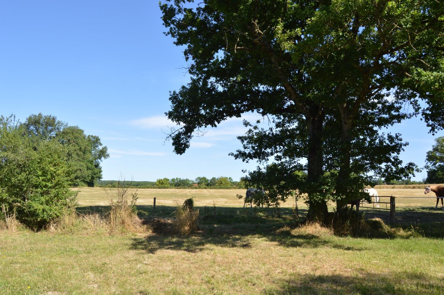  kaufen Haus Montigny-sur-Canne Nièvre 8