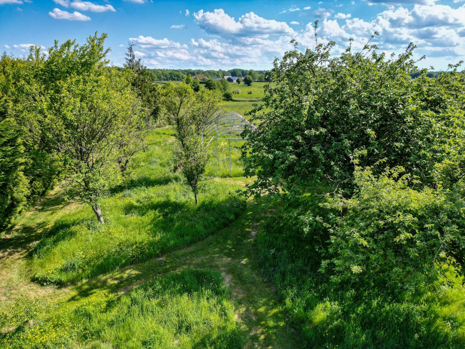  kaufen Haus Mondrepuis Aisne 17