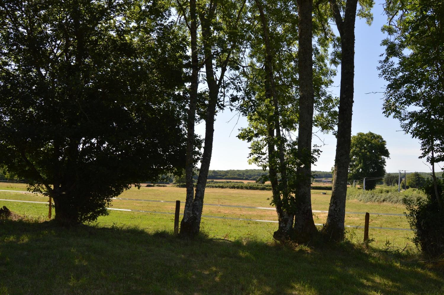  kaufen Haus Montigny-sur-Canne Nièvre 7