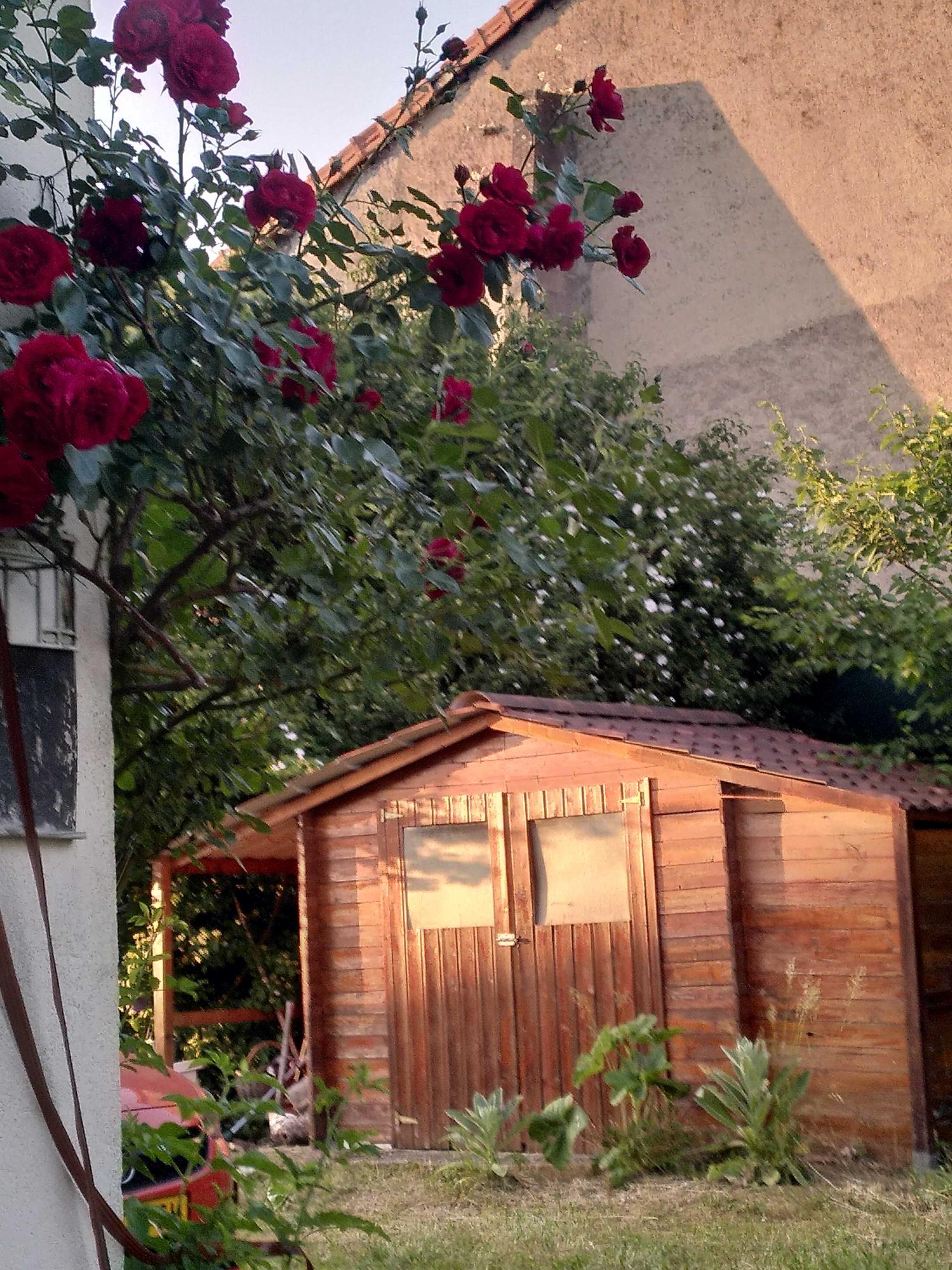  kaufen Haus Villars-le-Pautel Haute-Saône 25
