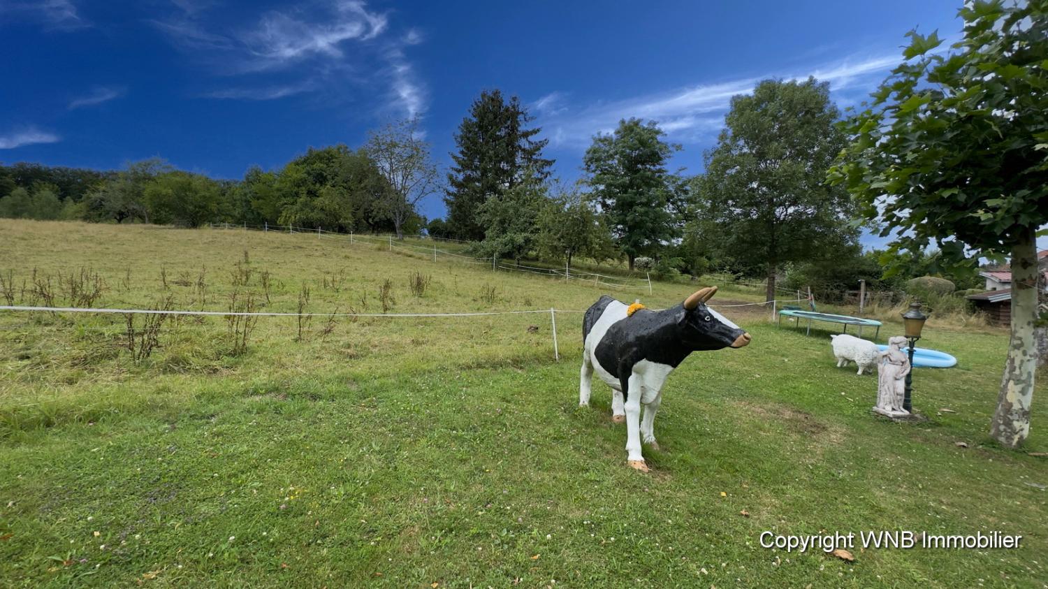  kaufen Landgut Hautmougey Vogesen 9