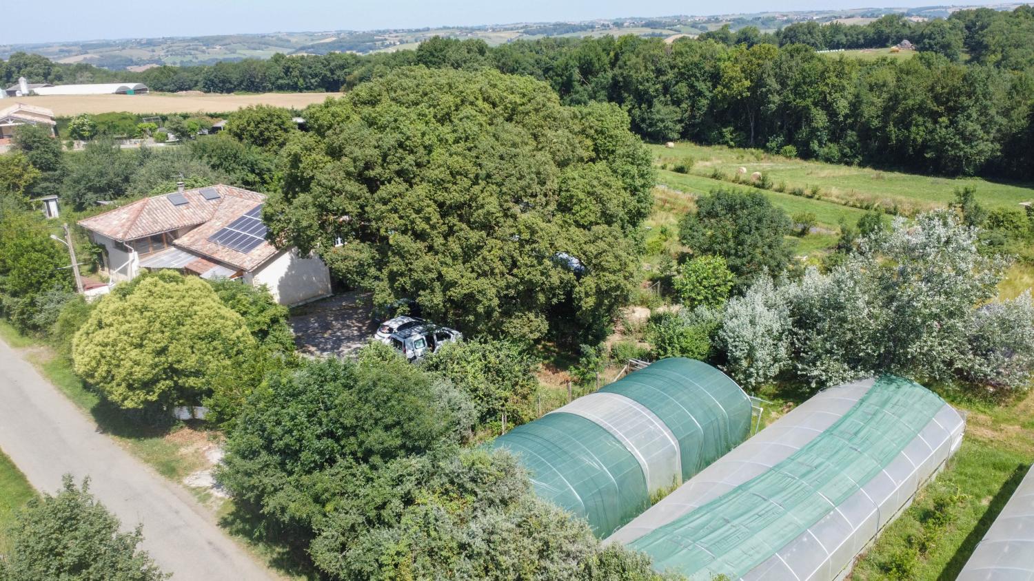  kaufen Häuser mit Zuhause Terrebasse Haute-Garonne 51