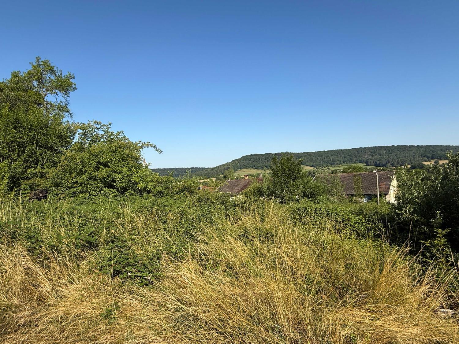 kaufen Grundstück Bourbonne-les-Bains Haute-Marne 9