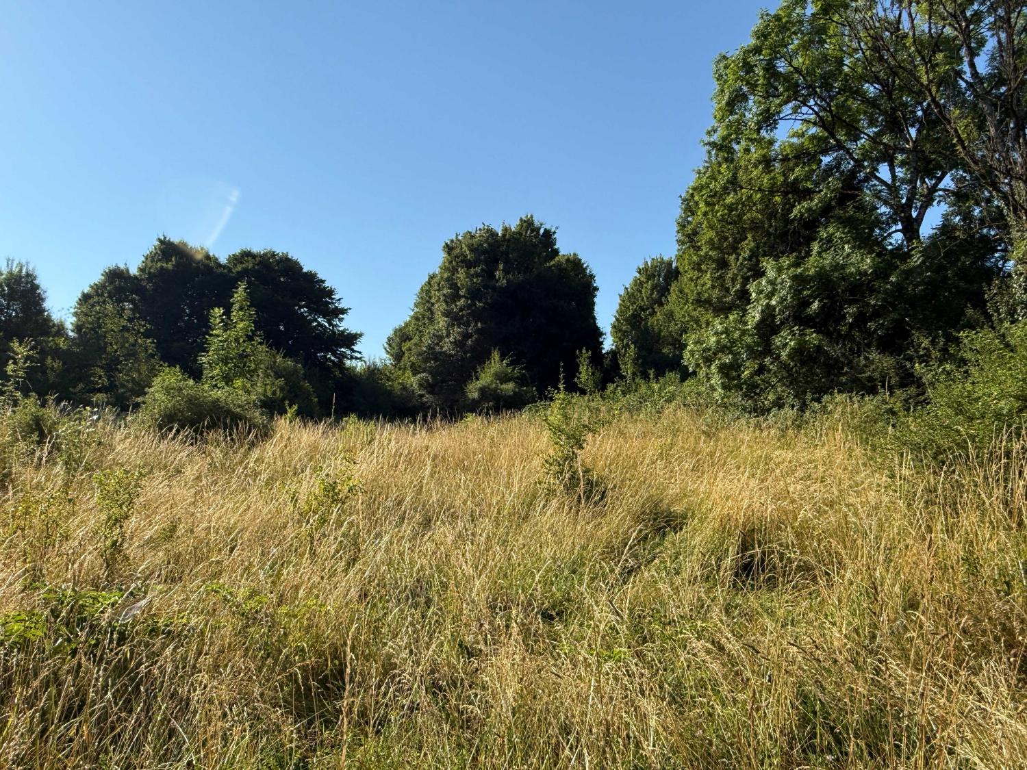  kaufen Grundstück Bourbonne-les-Bains Haute-Marne 7