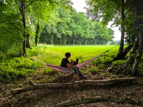  kaufen Camping Saint-Palais Allier 41
