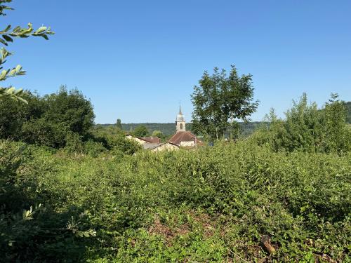 Bourbonne-les-Bains Haute-Marne Grundstück Bild 7114314