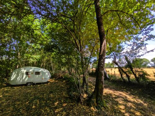  kaufen Camping Saint-Palais Allier 26