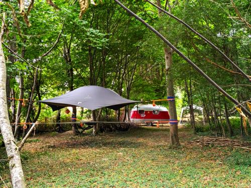  kaufen Camping Saint-Palais Allier 25
