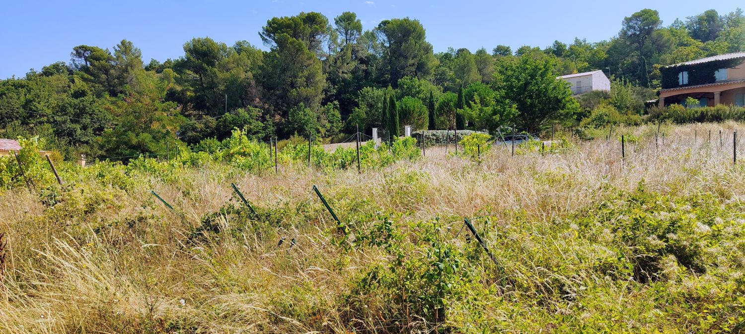  kaufen Grundstück Lincel Alpes-de-Haute-Provence 4
