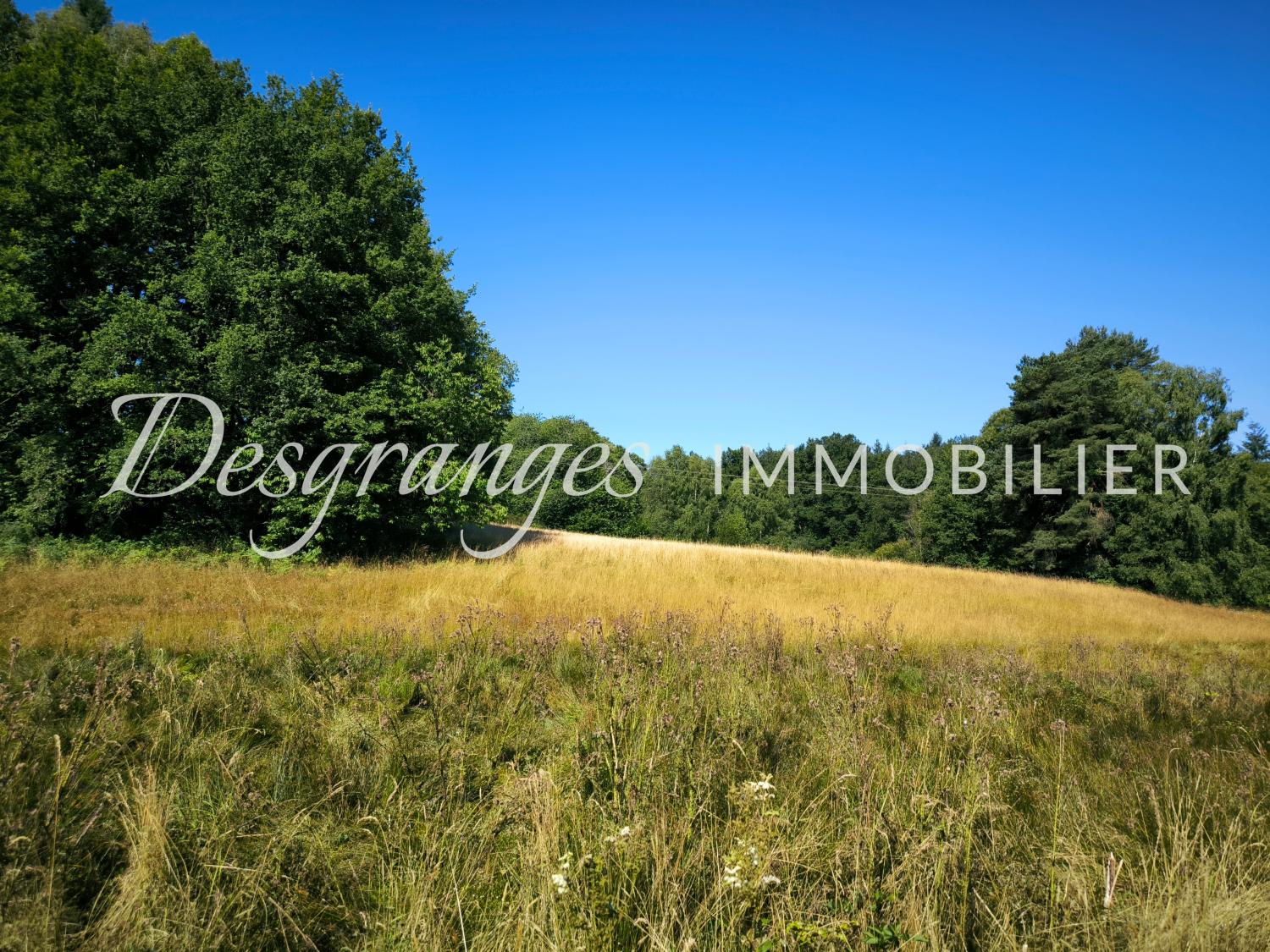  kaufen Grundstück Saint-Yrieix-la-Perche Haute-Vienne 8
