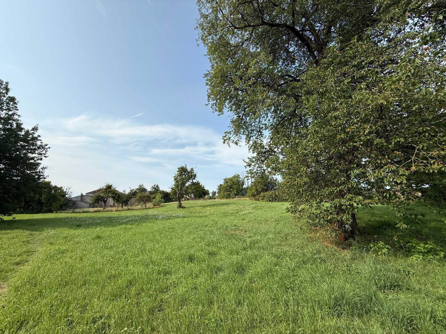  kaufen Dorfbauernhof Châtillon-sur-Saône Vogesen 25