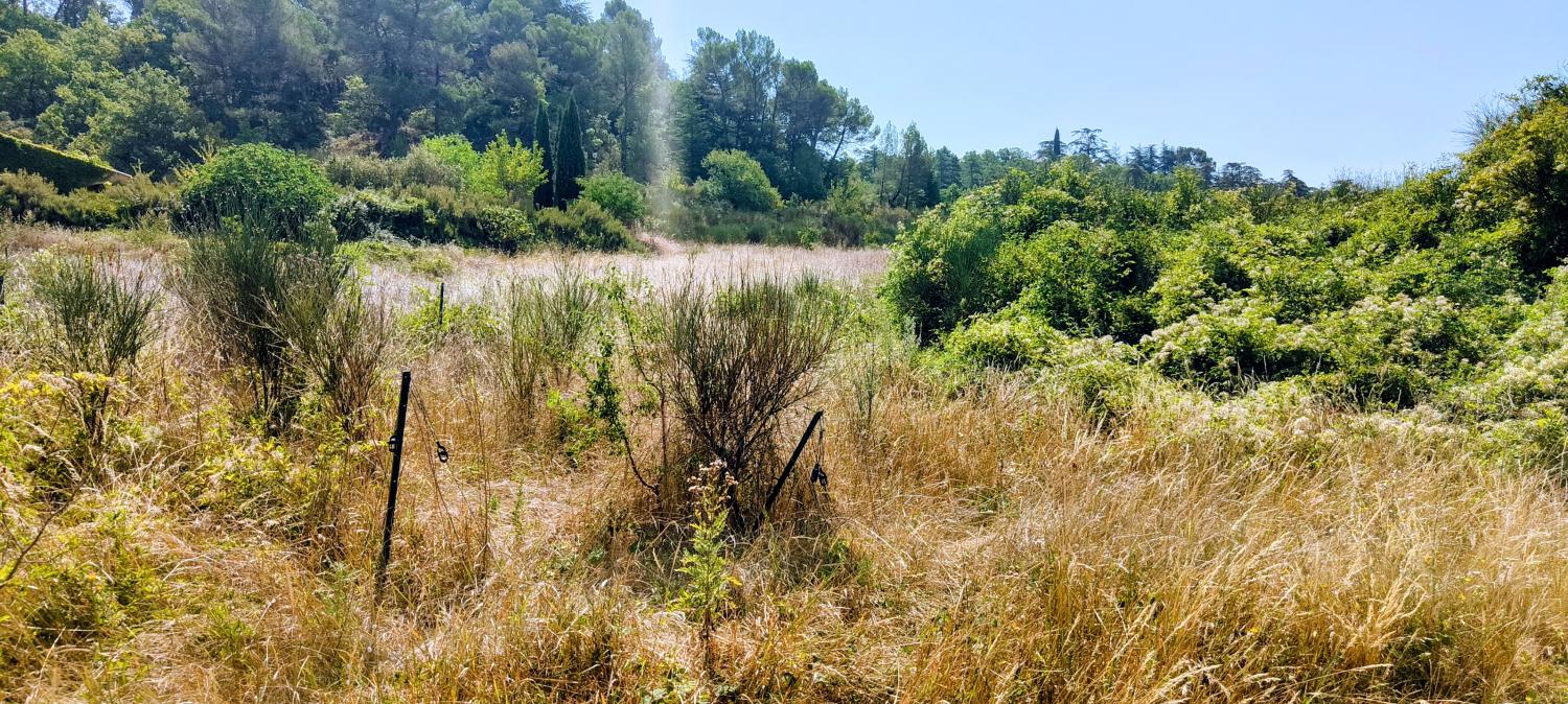  kaufen Grundstück Lincel Alpes-de-Haute-Provence 5