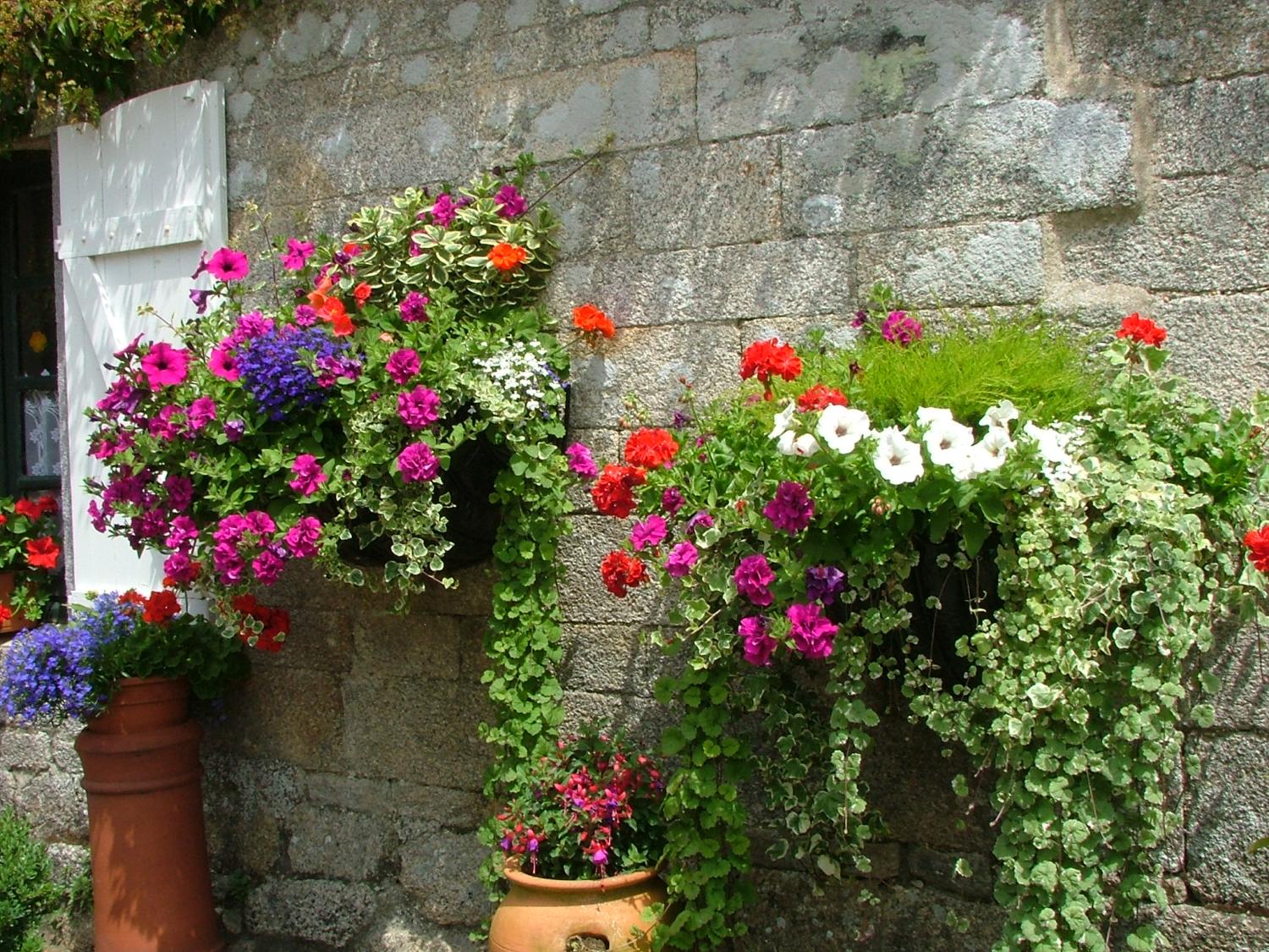  kaufen Landgut Pontivy Morbihan 34
