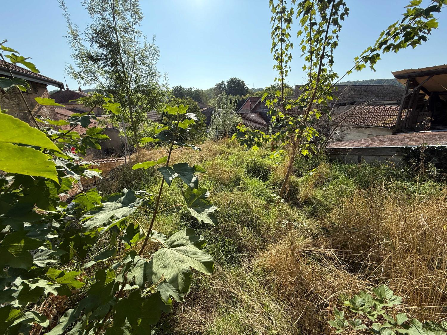  kaufen Dorfhaus Doulevant-le-Château Haute-Marne 23