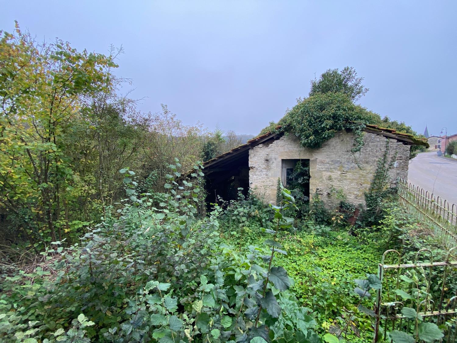  kaufen Dorfhaus Donjeux Haute-Marne 4