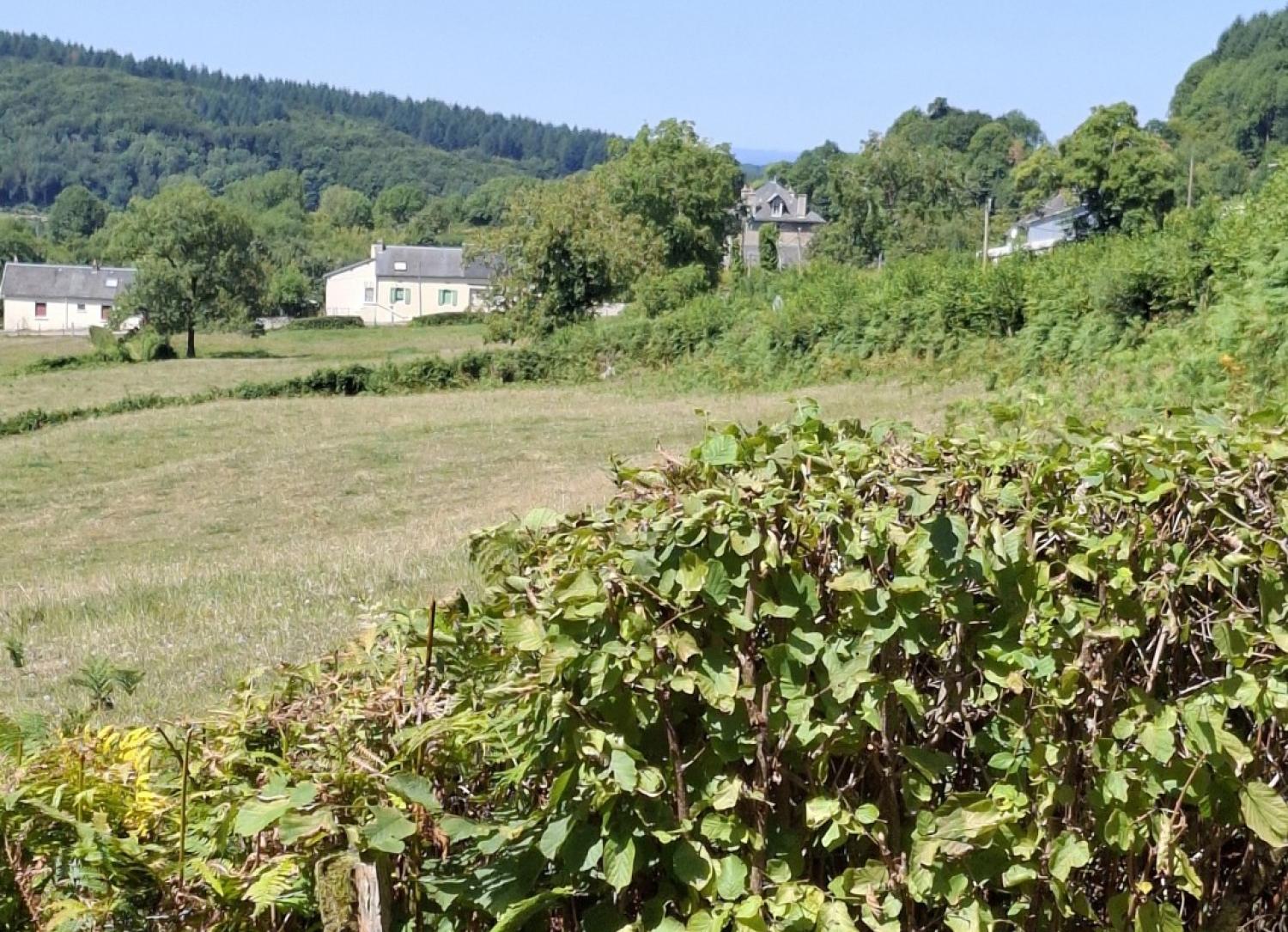  kaufen Haus Saint-Léger-de-Fougeret Nièvre 8