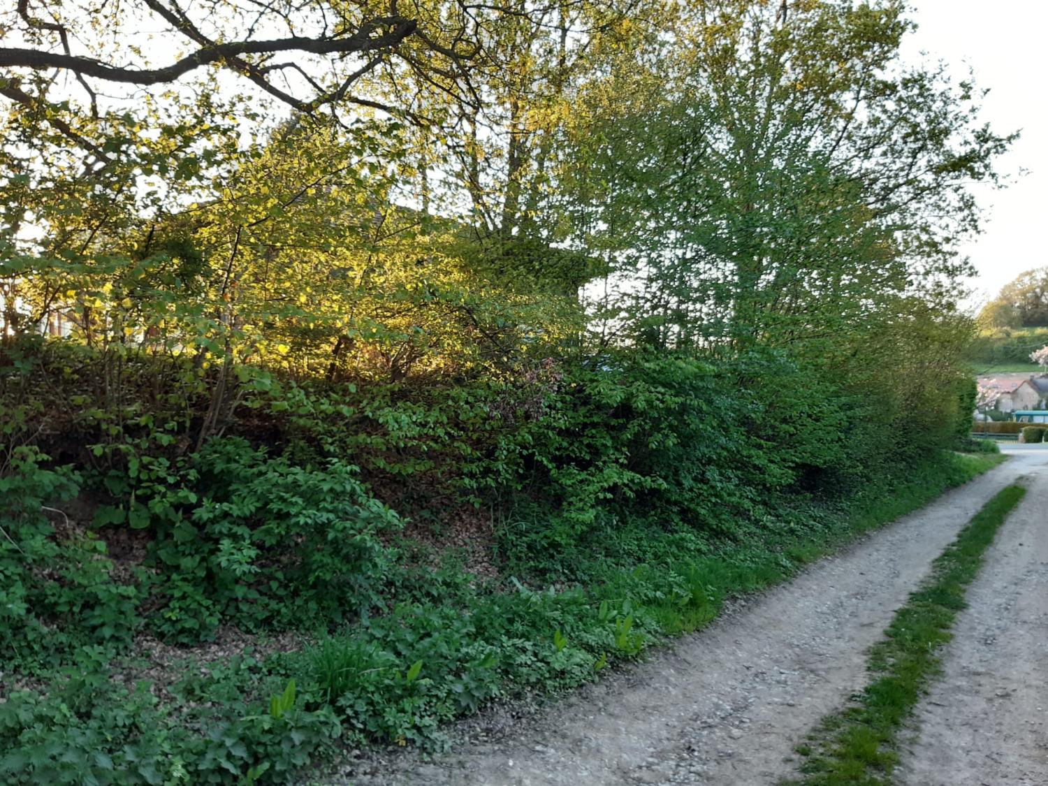 kaufen Chalet Preures Pas-de-Calais 3