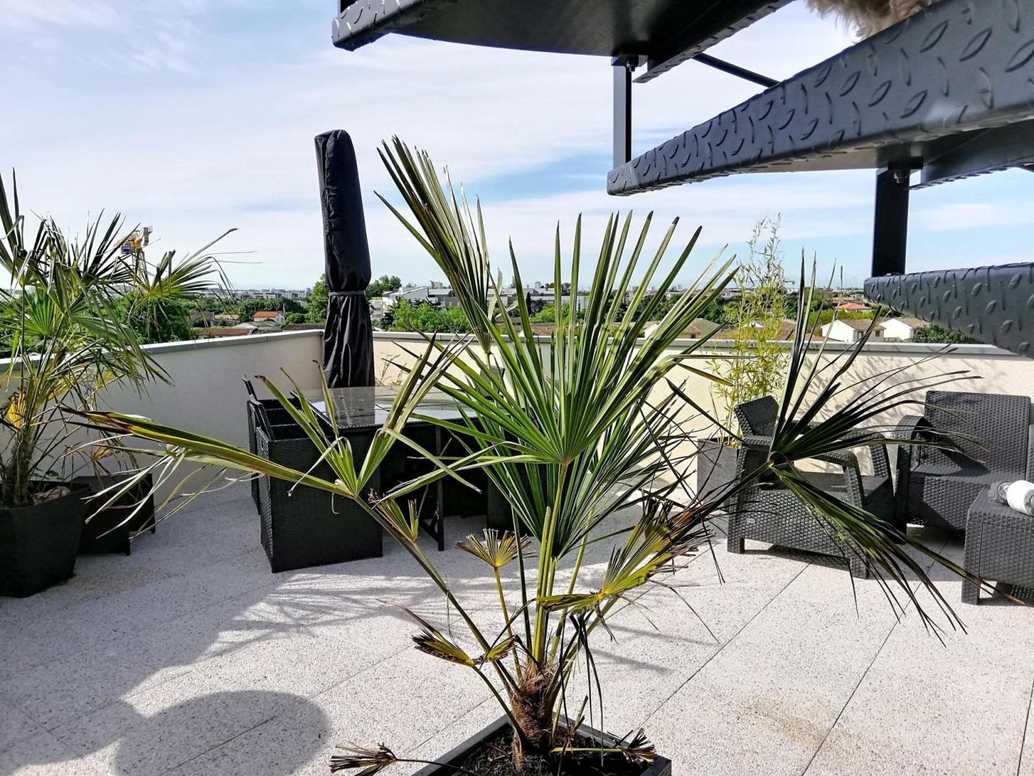  kaufen Wohnung/ Apartment Toulouse 31200 Haute-Garonne 3