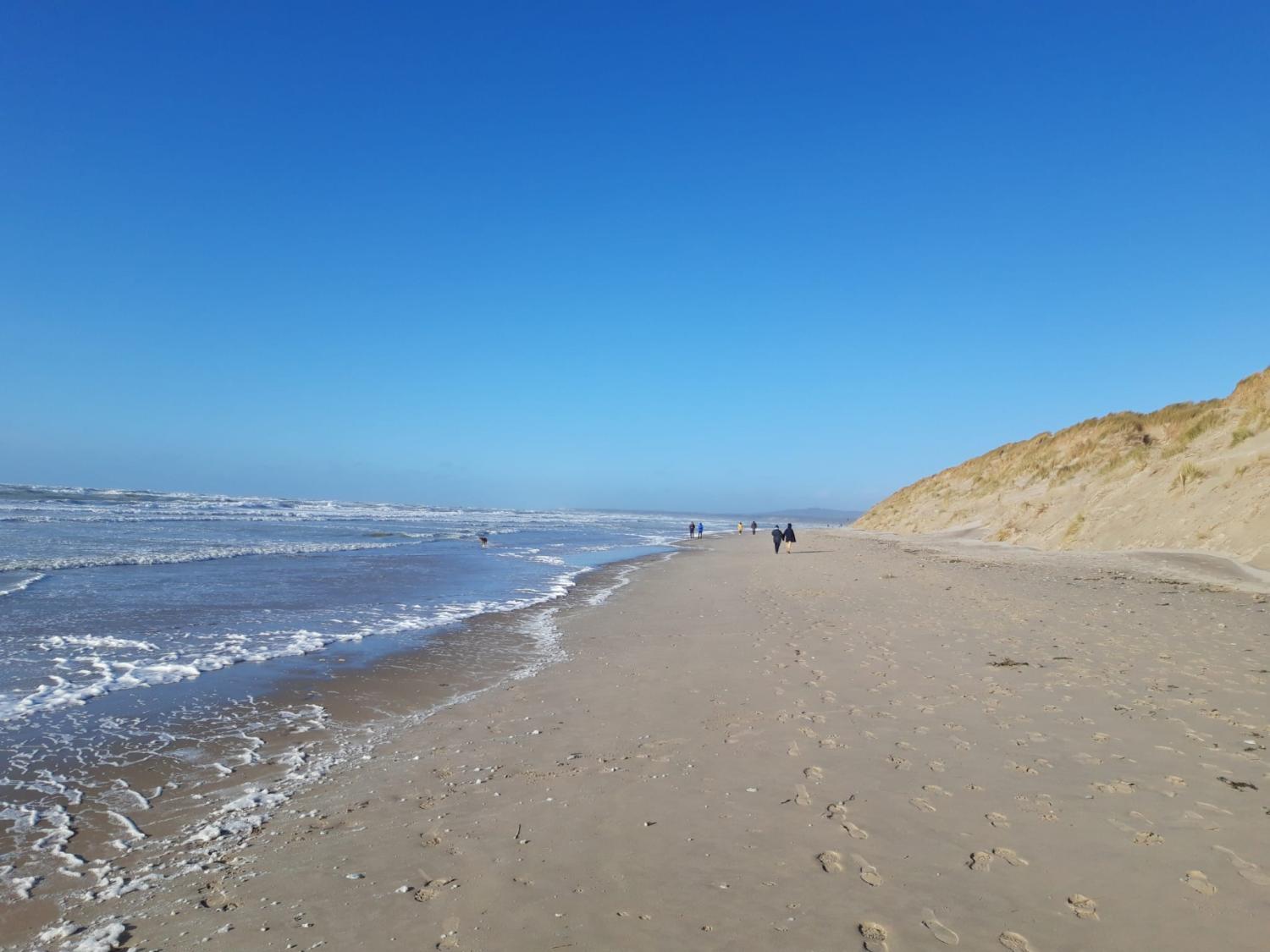 kaufen Chalet Preures Pas-de-Calais 19