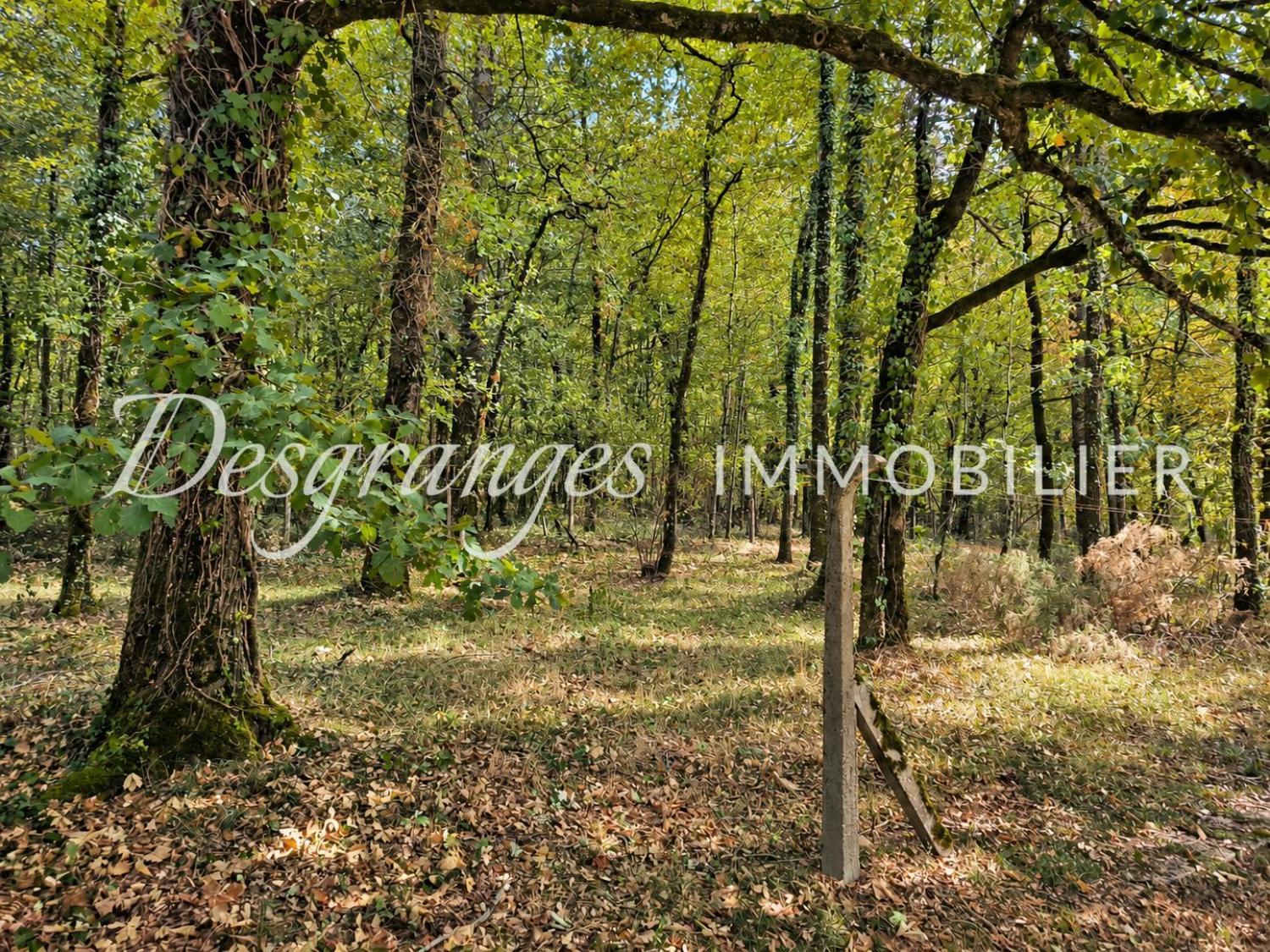  kaufen Haus Excideuil Dordogne 18