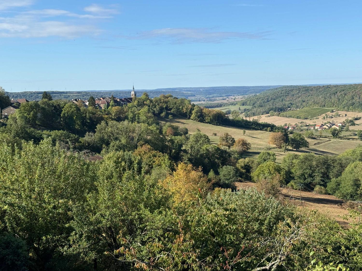 kaufen Dorfhaus Bourbonne-les-Bains Haute-Marne 19