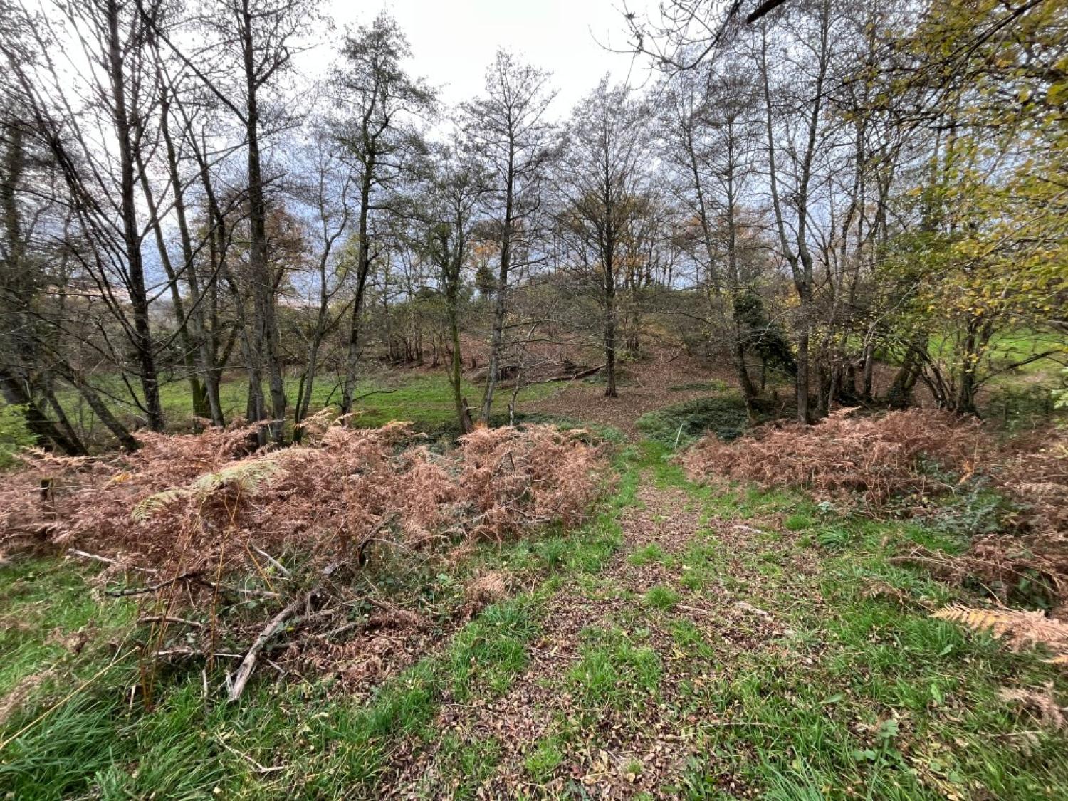  kaufen Häuser mit Zuhause Saint-Hilaire-en-Morvan Nièvre 22