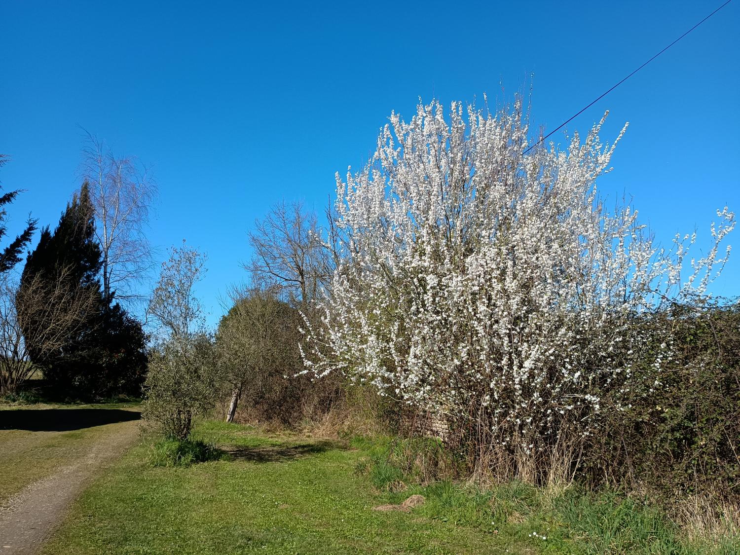  kaufen Freistehend Aire-sur-l'Adour Landes 37
