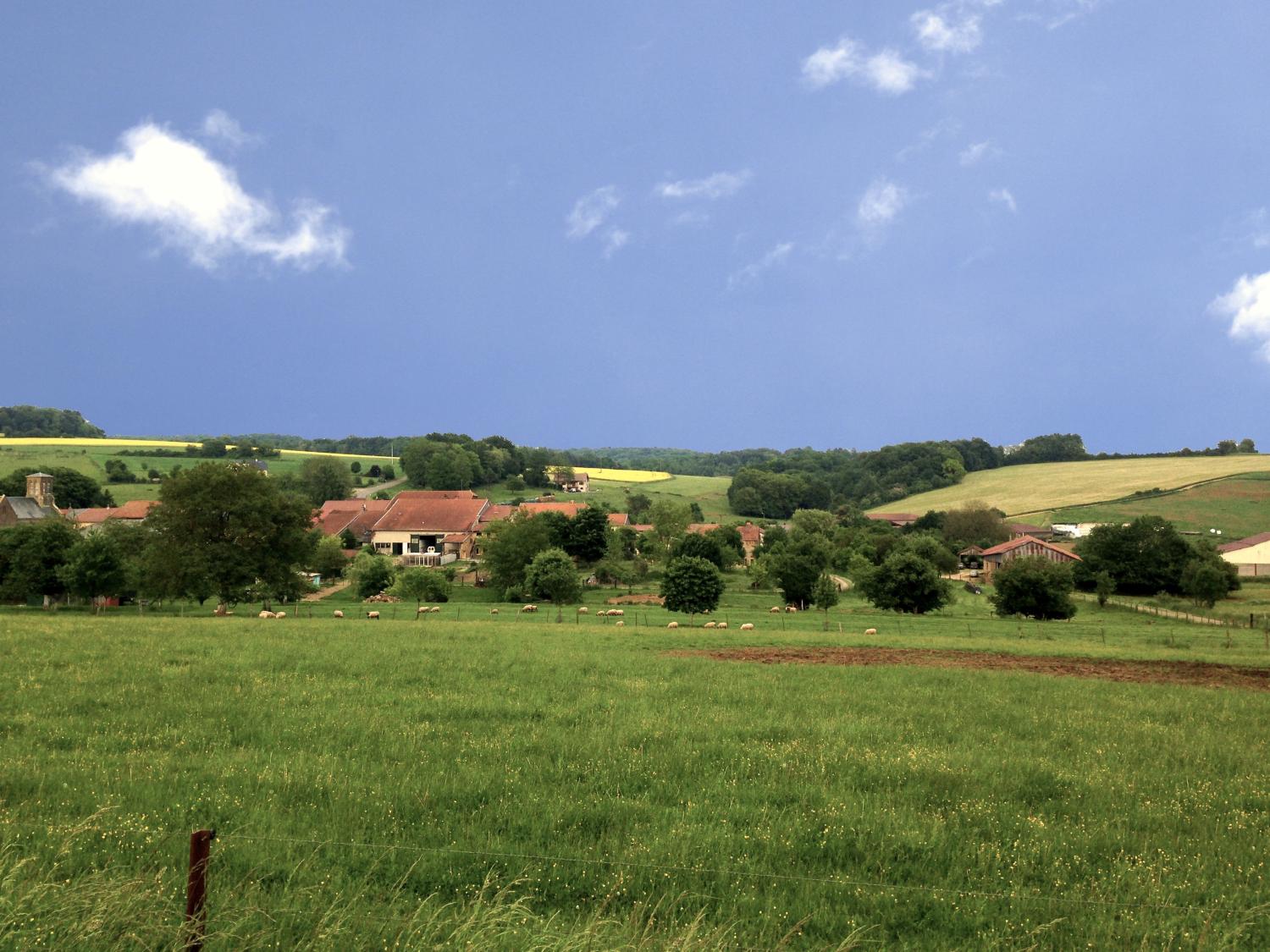 kaufen Ferienhaus/ Gästezimmer Autréville-Saint-Lambert Meuse 43