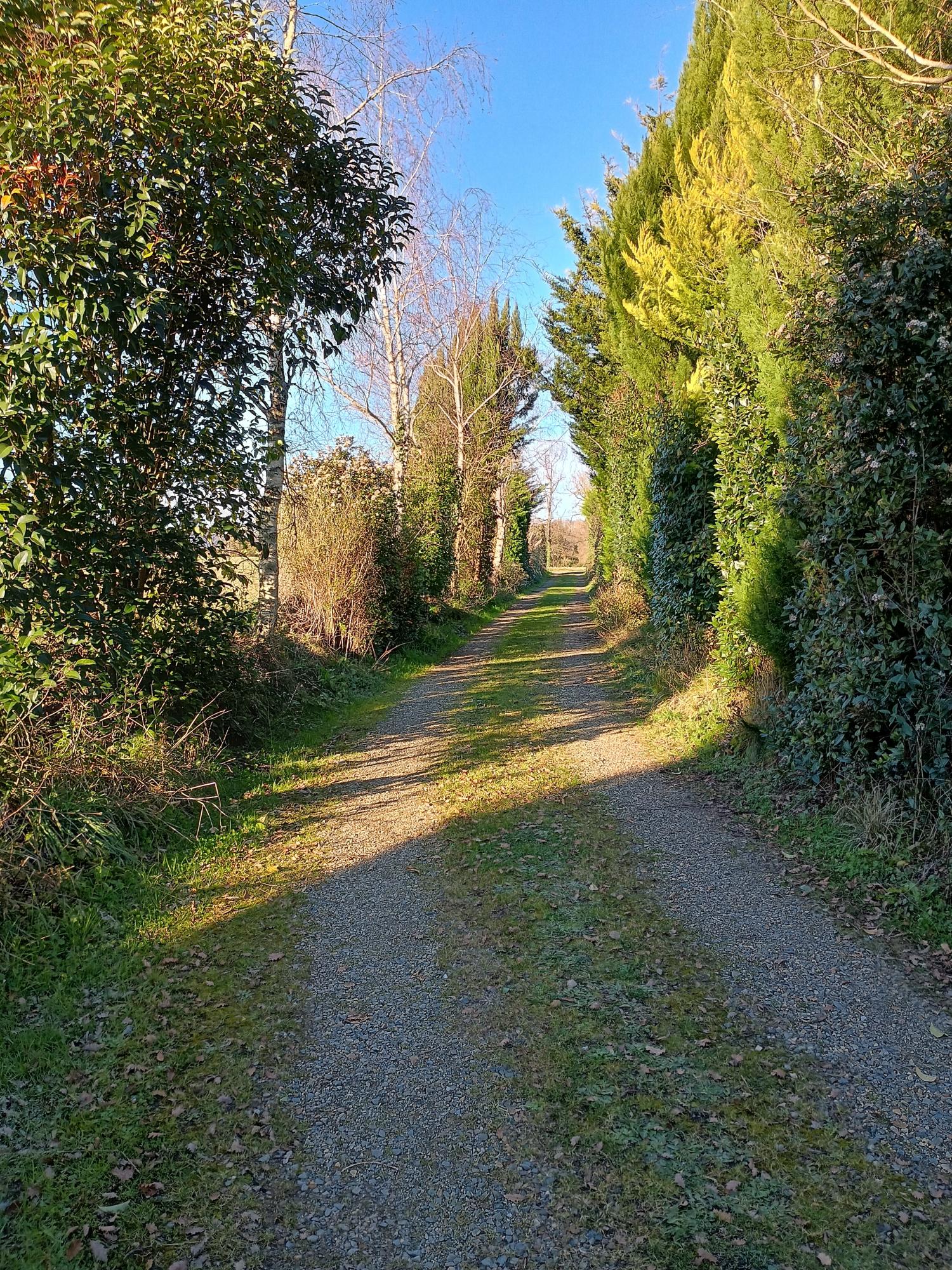  kaufen Freistehend Aire-sur-l'Adour Landes 38