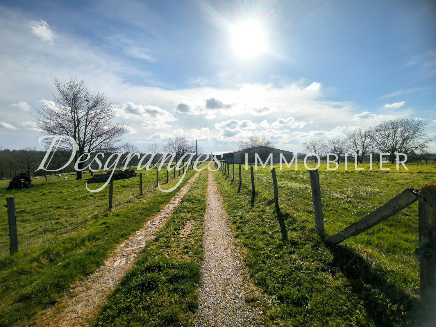  kaufen Bauernhof Payzac Dordogne 14