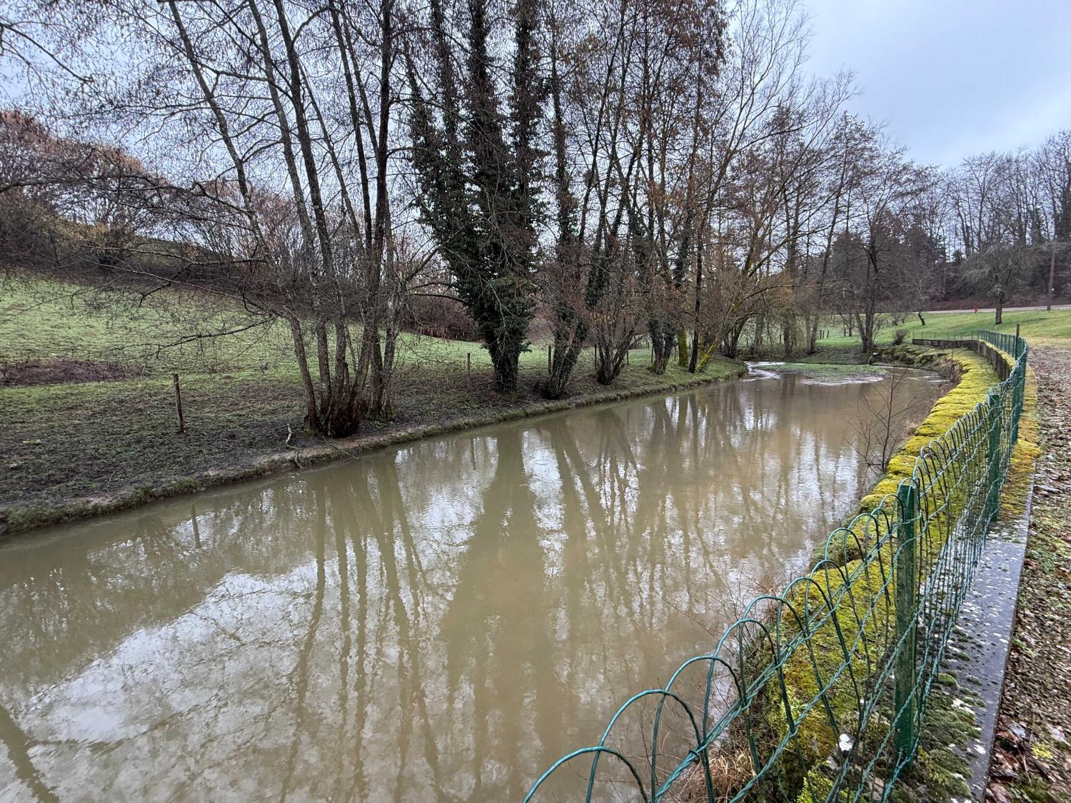kaufen Ferienhaus/ Gästezimmer Viviers-le-Gras Vogesen 38