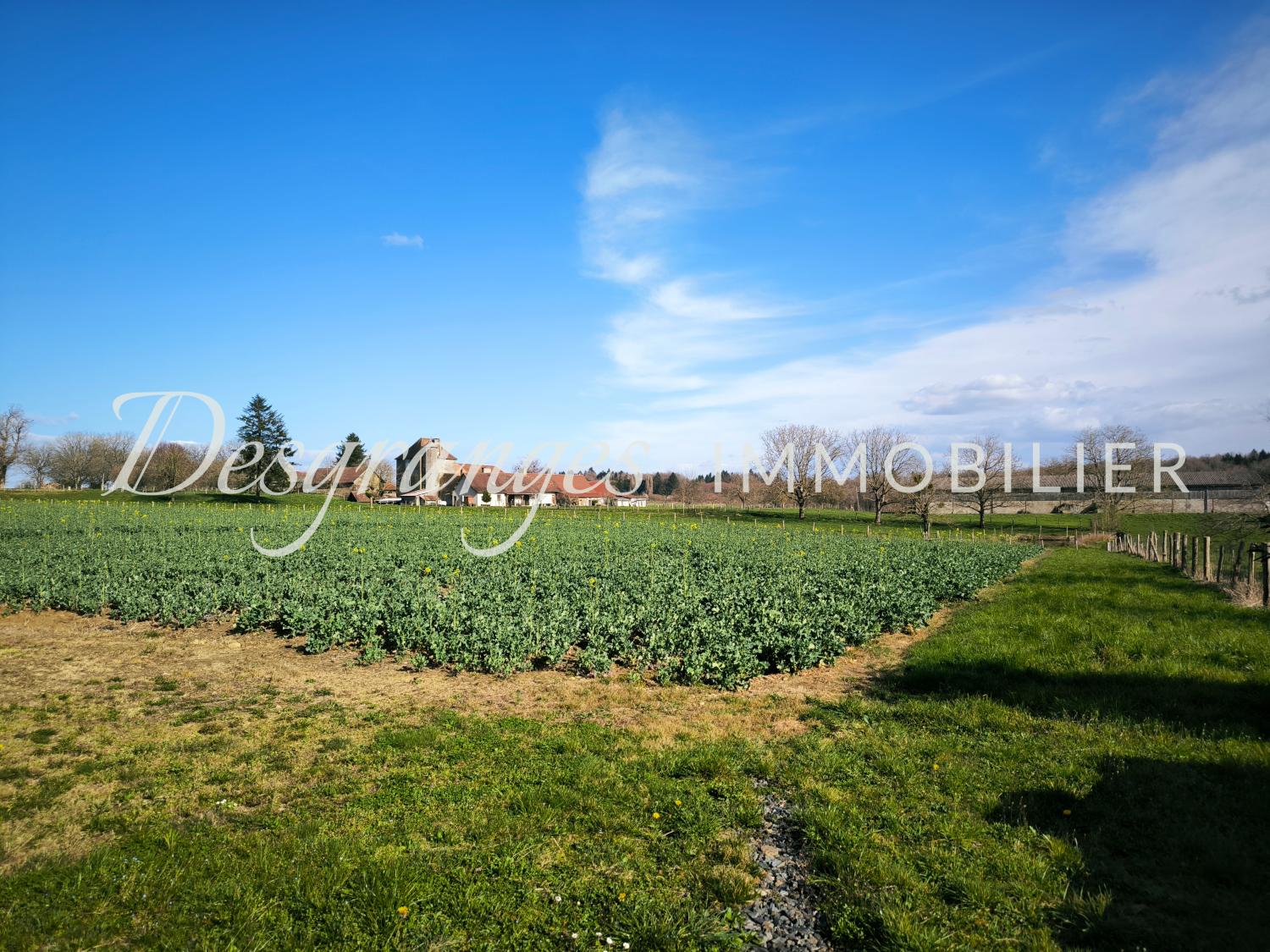  kaufen Bauernhof Payzac Dordogne 4