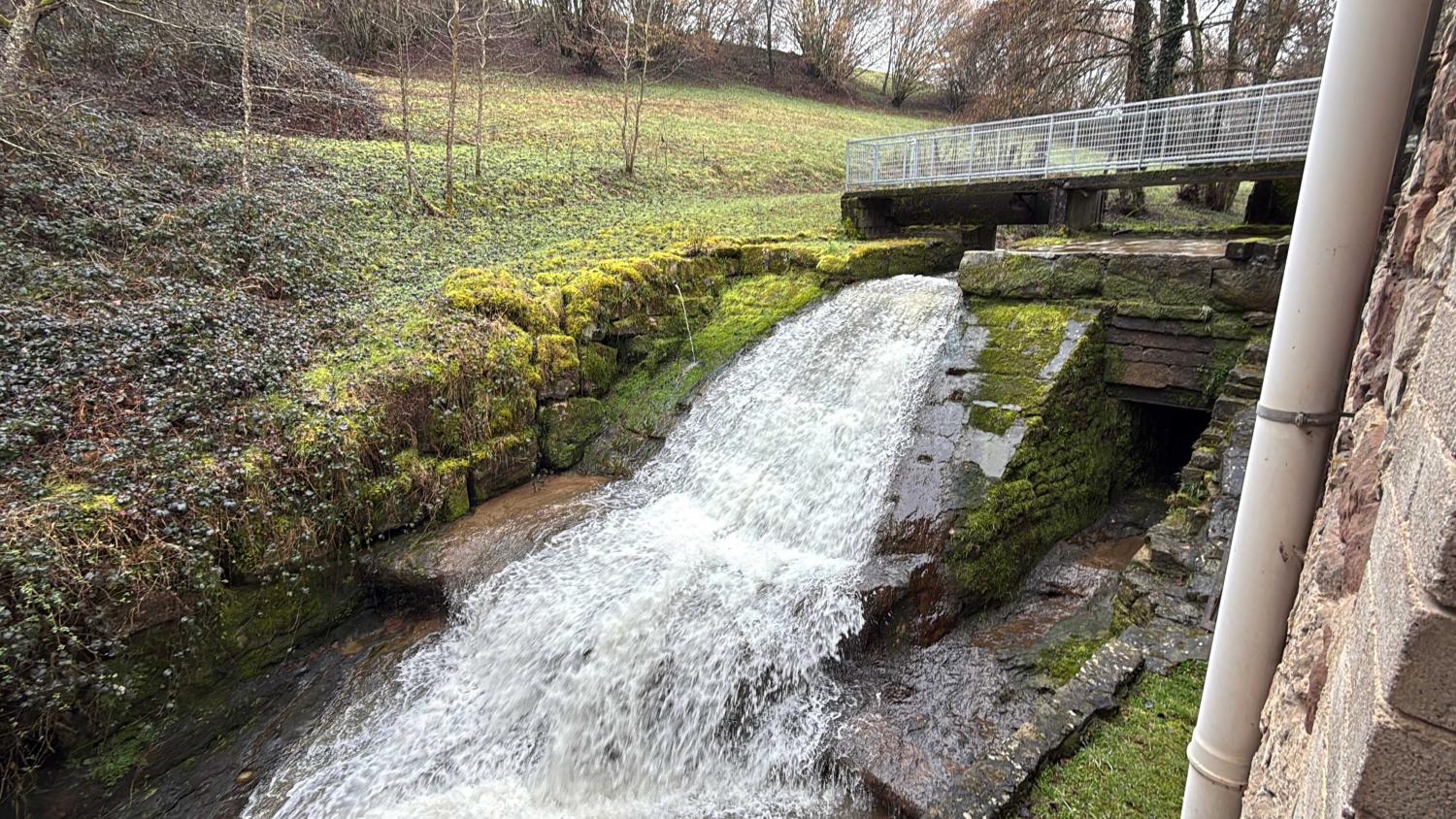 kaufen Ferienhaus/ Gästezimmer Viviers-le-Gras Vogesen 5
