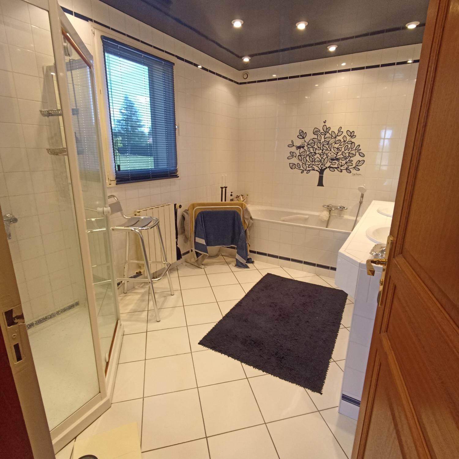 kaufen Freistehend Cercy-la-Tour Nièvre 11