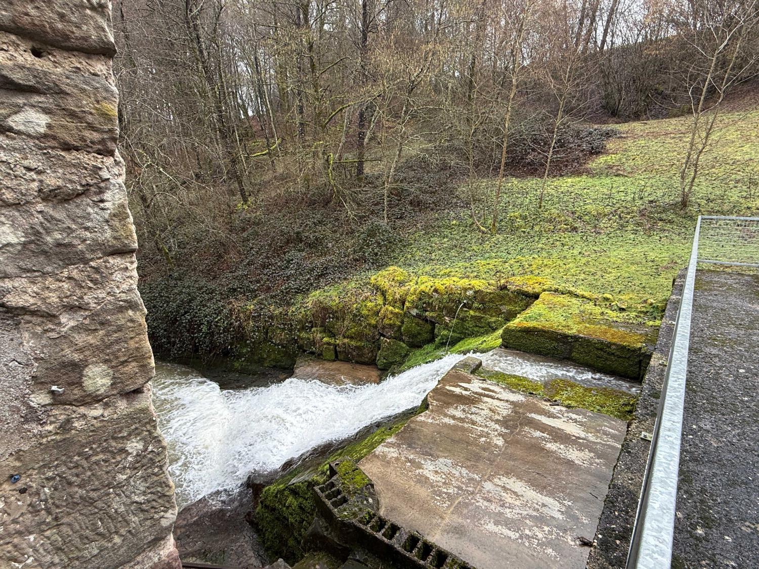 kaufen Ferienhaus/ Gästezimmer Viviers-le-Gras Vogesen 15