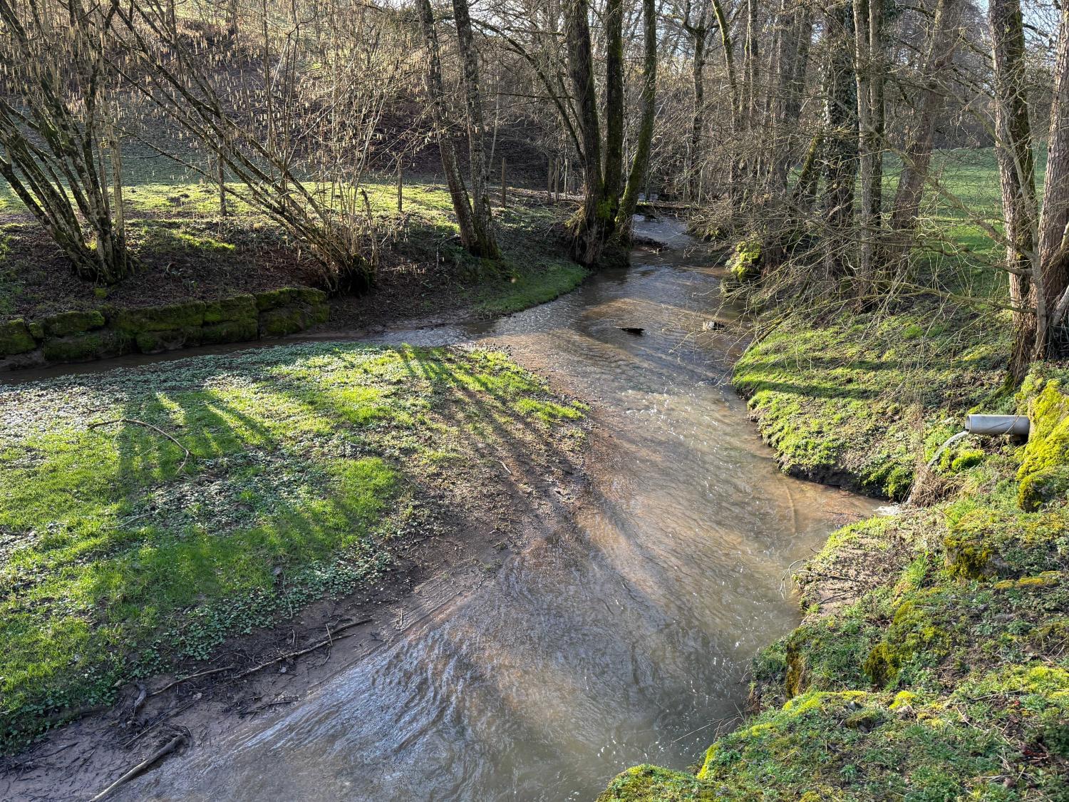 kaufen Ferienhaus/ Gästezimmer Viviers-le-Gras Vogesen 47