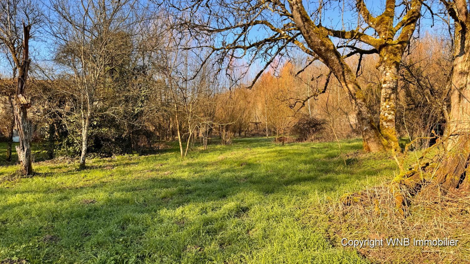  kaufen Dorfbauernhof Serécourt Vogesen 11