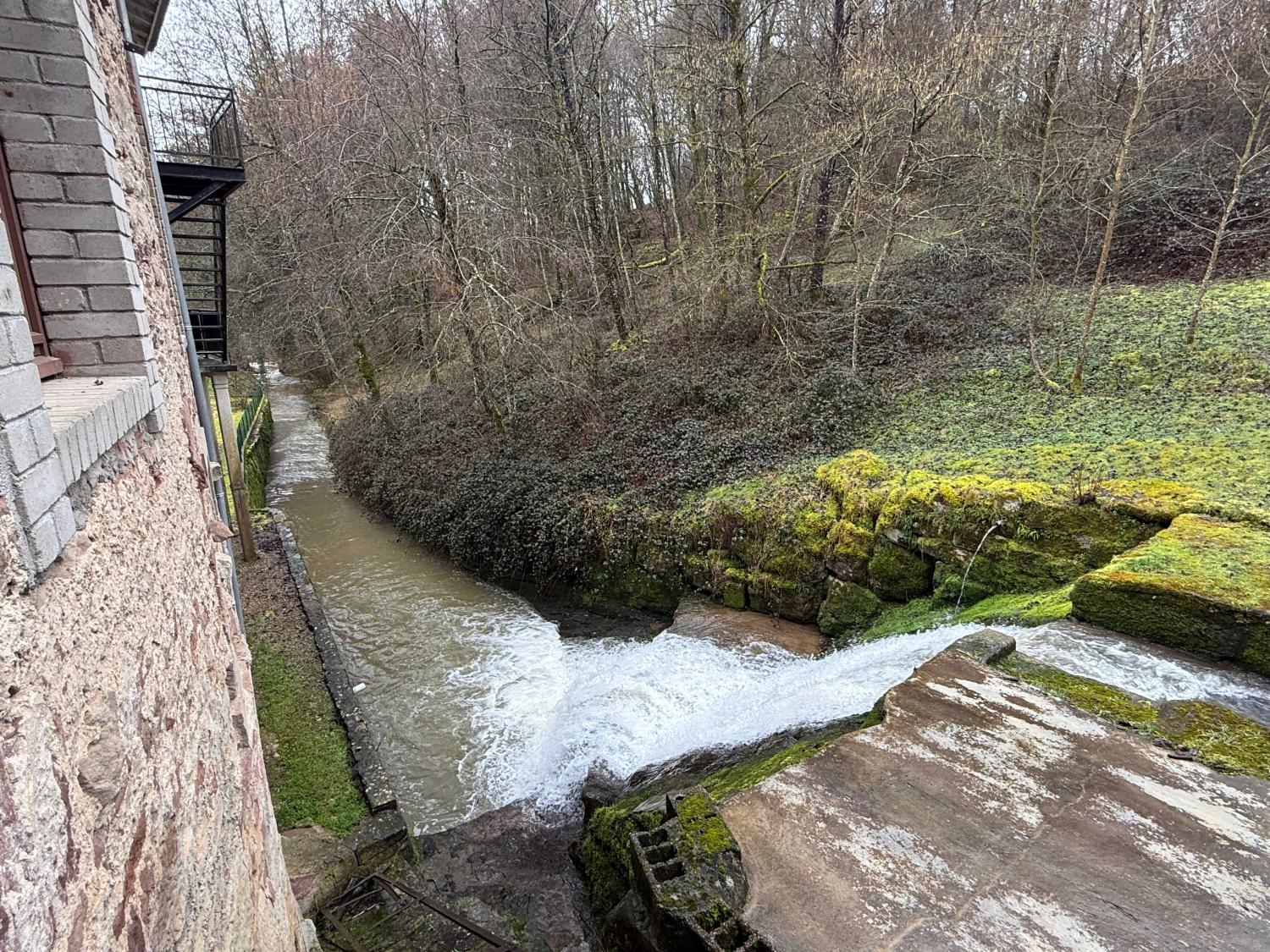 kaufen Ferienhaus/ Gästezimmer Viviers-le-Gras Vogesen 7