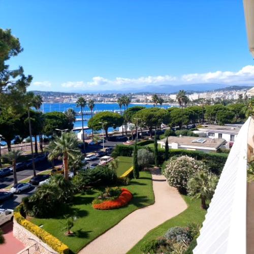Cannes Alpes-Maritimes Wohnung/ Apartment Bild 7298357