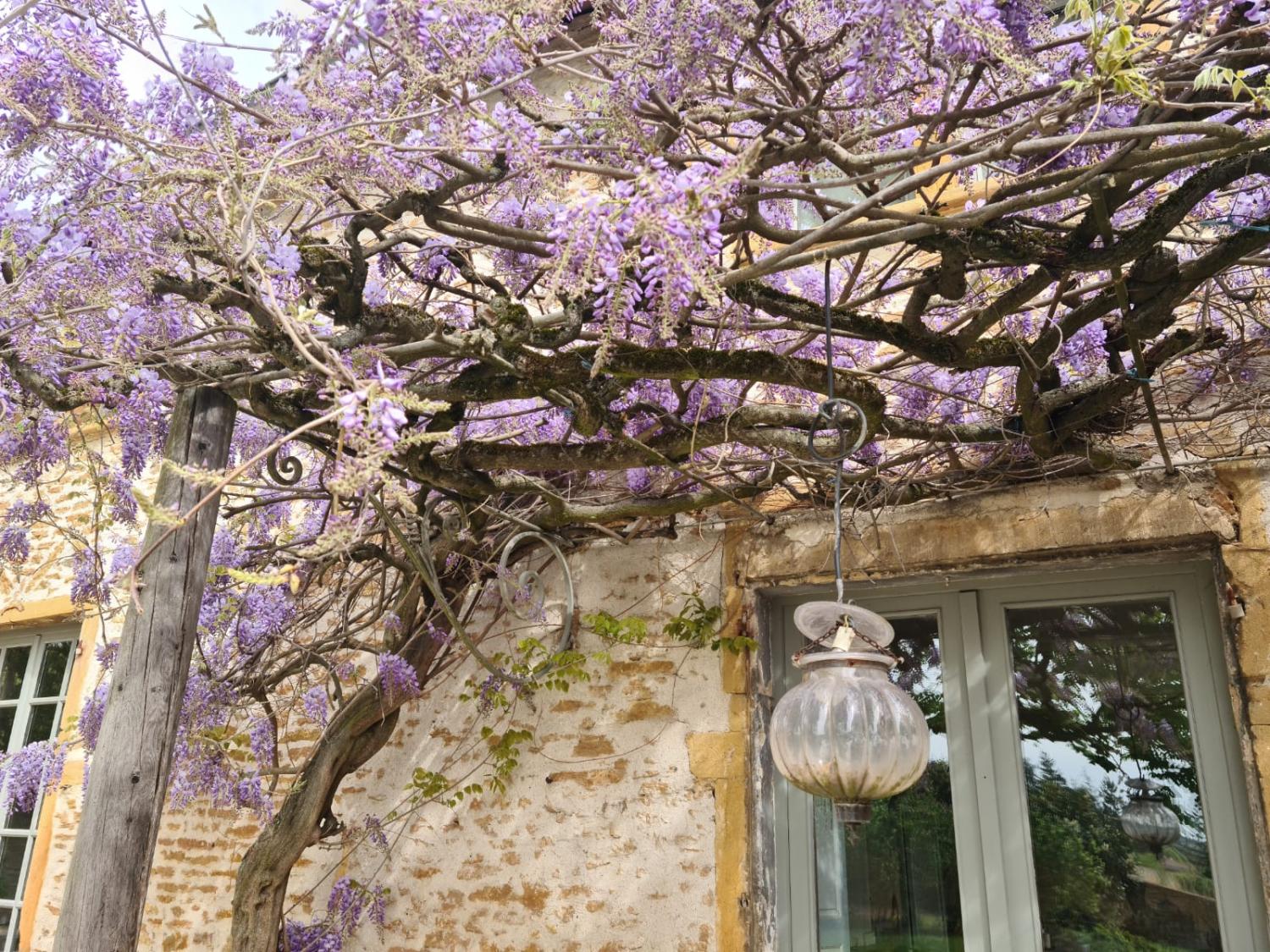  kaufen Haus Pommiers Rhône 6