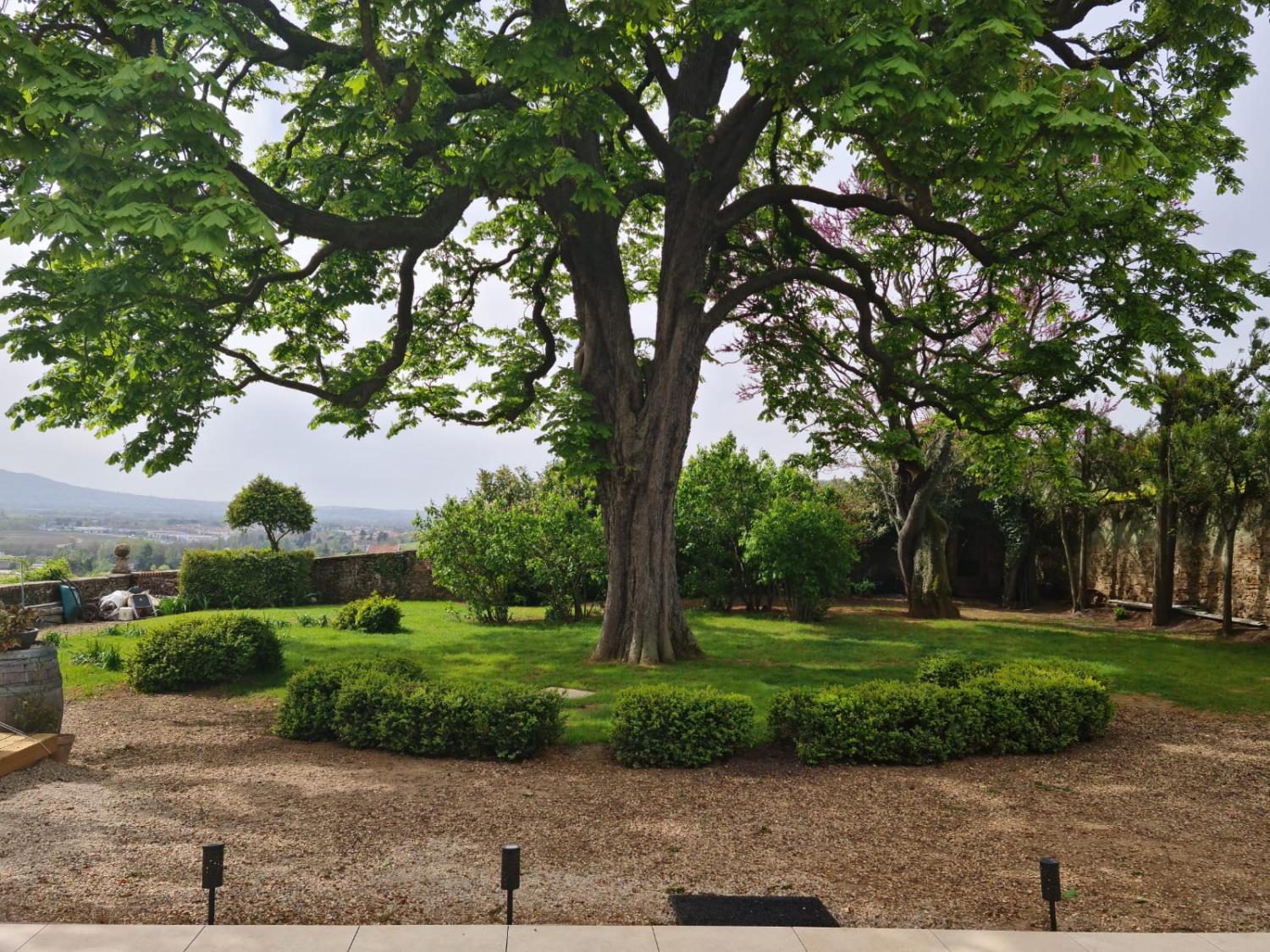  kaufen Haus Pommiers Rhône 5