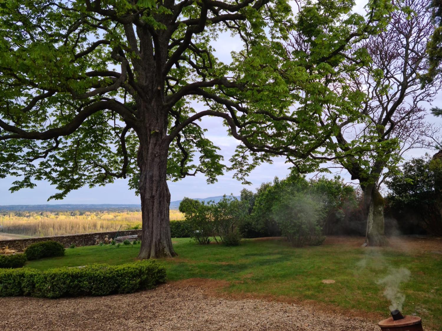  kaufen Haus Pommiers Rhône 23